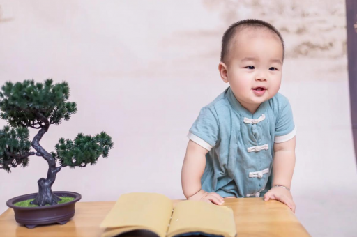 琼中可爱的企鹅宝宝